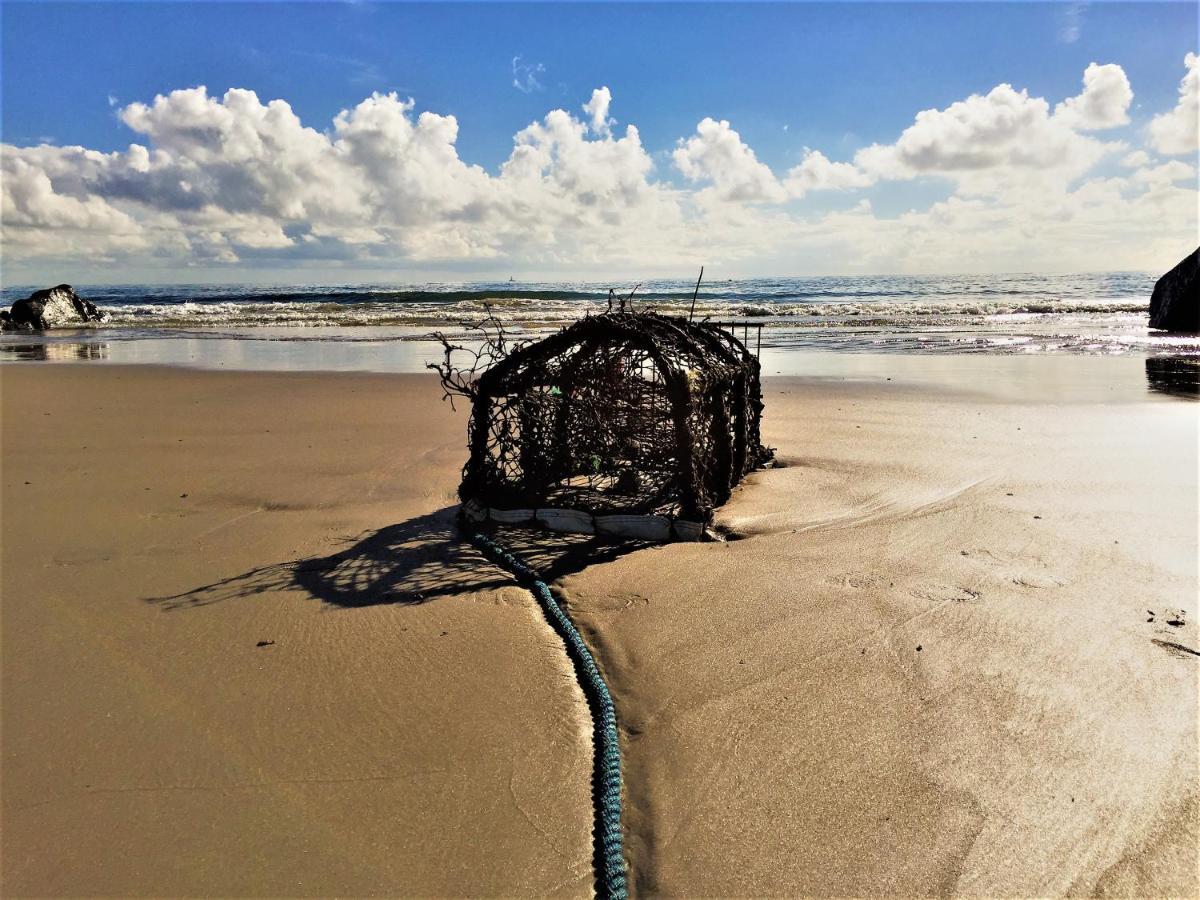 St Awaries Studio, Carne Rosslare Harbour Extérieur photo