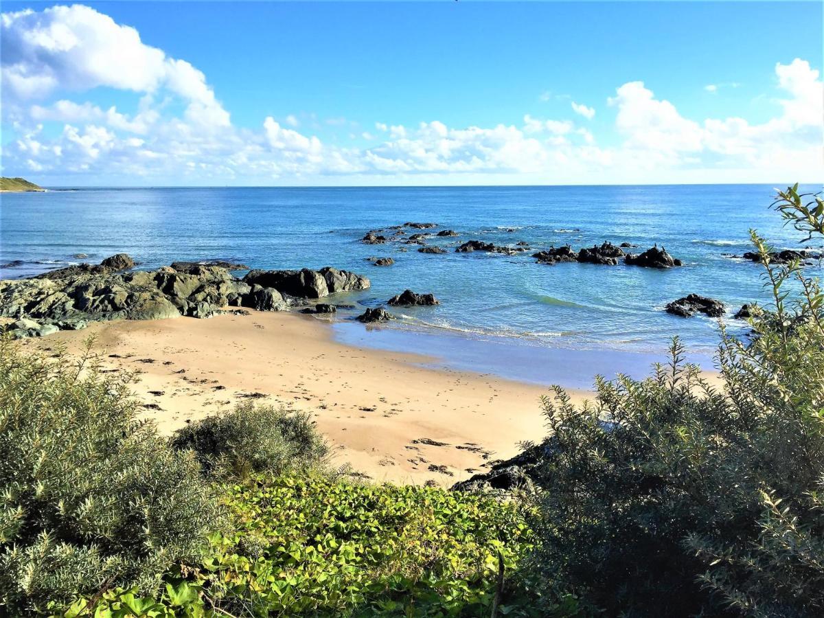 St Awaries Studio, Carne Rosslare Harbour Extérieur photo
